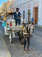 merida, mexico - 24 de mayo de 2021 - carruaje tirado por caballos a lo largo de las calles de merida, mexico en el yucatan. foto