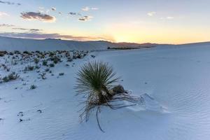 Sunset at White Sands National Monument in New Mexico. photo