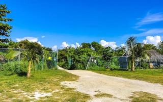 Entrance path of tropical beach between natural huts in Mexico. photo