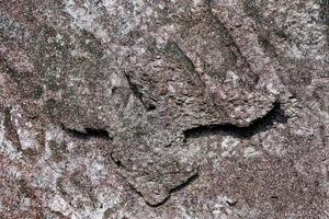 Detailed view on aged concrete walls with cracks and a lot of structure in high resolution photo