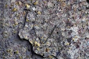 Detailed view on aged concrete walls with cracks and a lot of structure in high resolution photo