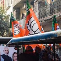 delhi, india, 02 de diciembre de 2022 - partidario del bjp del partido bharatiya janata durante el mega road show en apoyo del candidato del bjp, pankaj luthara, para presentar documentos de nominación antes de las elecciones del organismo local mcd 2022 foto