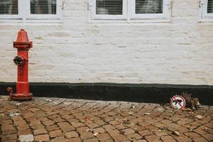 Big red Fire hydrant and dog pee ban information table near the flower in front of old white brick wall photo