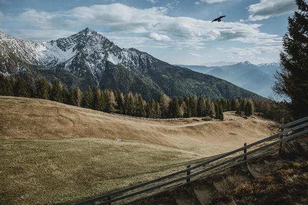 Beutiful mountain meadow with wooden fence around and breathtaking view to the valley with flying bird on cloudy sky