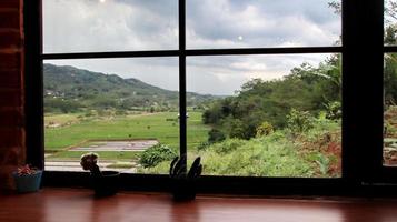 Natural view from inside the cafe photo