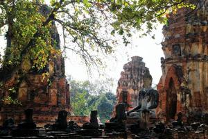 viajar a ayutthaya, tailandia. las ruinas de la antigua ciudad con estatua de buda. parque histórico de ayutthaya. foto