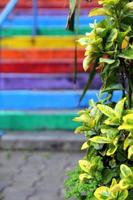 Travel to Istanbul, Turkey. The view on the rainbow stairs with the plant on the foreground. photo