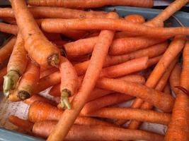 Bunches of ripe carrots on a farmer market photo