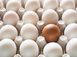 Closeup egg in duck eggs group in carton box difference concept idea and nature light and shadow top view photo