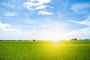 Paddy field and the sun in morning with clean blue sky among vally in natural,Bright sunshine and fresh paddy field photo