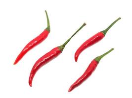 Many red hot chilli peppers on whit e isolated top view photo