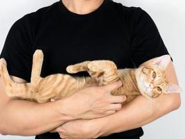 Closeup man hug cute cat orange color and cat looking at camera on white blackground photo