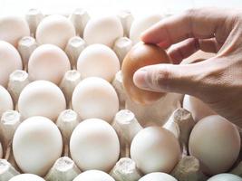 Hand holding egg on group duck eggs in carton box on white wood table with nature shadow and light difference concept idea photo