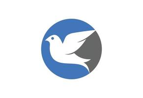 Bird logo design, Vector design template.