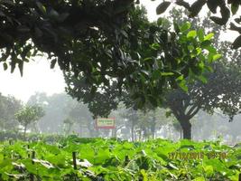 el camino en el pueblo foto