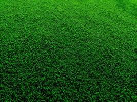 green grass texture background realistic style photo