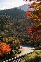 carretera local entre colinas de montaña bajo hojas de arce durante el otoño con cambio de color en la hoja en amarillo anaranjado y rojo, concepto de otoño de textura de fondo natural en caída foto