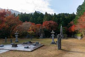 japanese style tomb with maple Tree leaves during Autumn with color change on leaf in orange yellow and red, falling natural background texture autumn concept photo