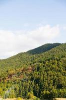 natural mountain range view with pine tree forest on the mountain under sunshine daytime with clear blue sky photo