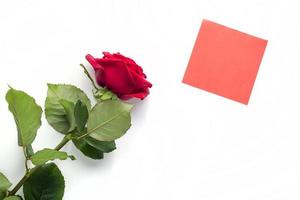 Beautiful bright red rose with red sticker for your text. Valentine day. symbol of love. photo