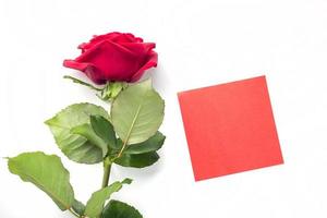 Beautiful bright red rose with red sticker for your text. Valentine day. symbol of love. photo