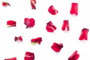 pétalos de flores de rosa sobre fondo blanco. fondo del día de san valentín. endecha plana, vista superior, espacio de copia. foto