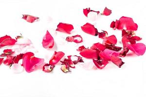pétalos de flores de rosa sobre fondo blanco. fondo del día de san valentín. endecha plana, vista superior, espacio de copia. foto