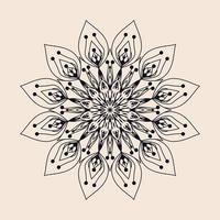 Luxury mandala ornaments design vector