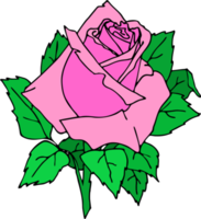 dessin d'un bouton de rose rose avec des feuilles en gros plan, élément isolé, décor png