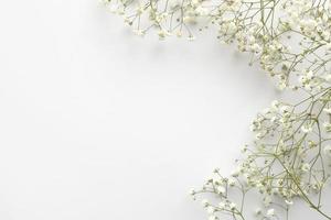 Small white flowers on white background. Happy Women's Day, Wedding, Mother's Day, Easter, Valentine's Day. Flat lay, top view, copy space photo