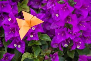 origami de mariposa con flor foto