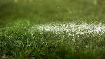 Watering the lawn with water in summer. gardening concept. drops of water from the ameliorative irrigation system are fed to grow ing garden plants against a sunny day photo