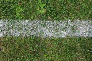 Top view of the white Line marking on the natural green grass soccer field. Green grass and sport lines painted at an outdoor playing field. Football field. Sports background for product display.