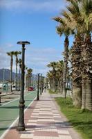 pasarela y carril bici con palmeras en la ciudad turística en vacaciones de verano foto