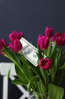 dollars banknote on bouquet of tulips flowers. Selective focus. Spending on flowers for a holiday. Flower business. photo