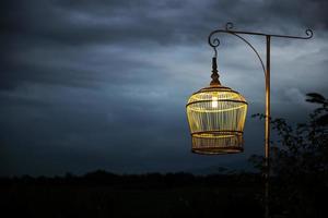 jaula de pájaros blancos como lámpara contra el cielo oscuro foto