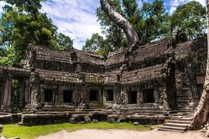 Ta Prohm temple ruins hidden in jungles, Siem Riep, Cambodia photo