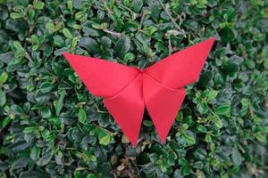 origami de mariposa con la naturaleza foto