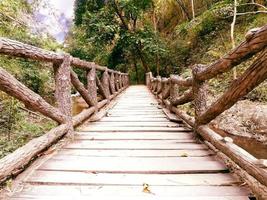 closeup wooden bridge in a natural park photo