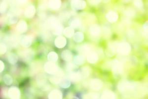 Abstract white bokeh and blurred reflection lighting of green leaves background. photo