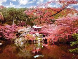 templo daigo-ji con coloridos arces en otoño, kyoto, japón foto