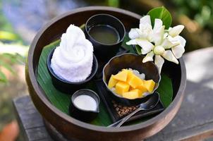 A set of dessert, Sticky rice with mango photo