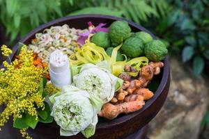 Thai traditional Herbal balls and herbs photo