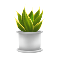 Snake plant in a white pot png