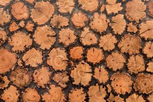 Wood texture of cut tree trunk, close-up photo