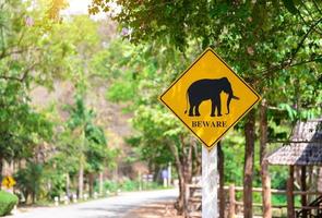 cuidado con los elefantes que cruzan la señal de tráfico foto