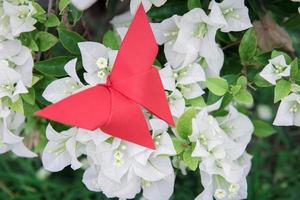 origami de mariposa con flor foto