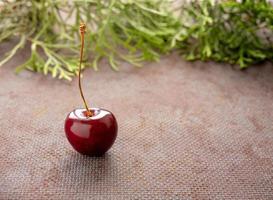 One red cherry on a dark background selected sharpness. copy space photo