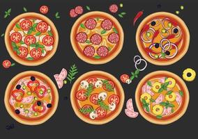 conjunto de pizzas con varios rellenos. ilustración. vector