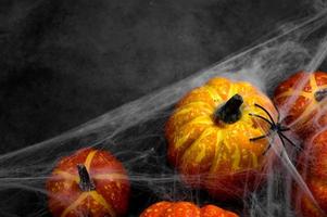 Top view on spooky halloween background with pumpkins covered in webs with spider.Copy space banner photo